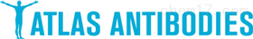 Anti-HMGXB4 Antibody